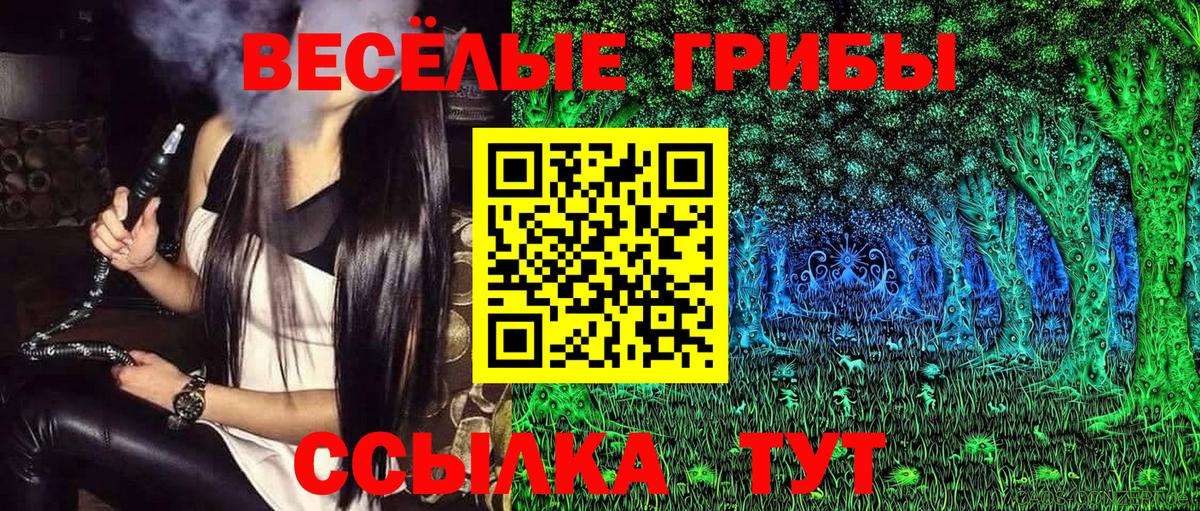 Галлюциногенные грибы Psilocybe Донецк