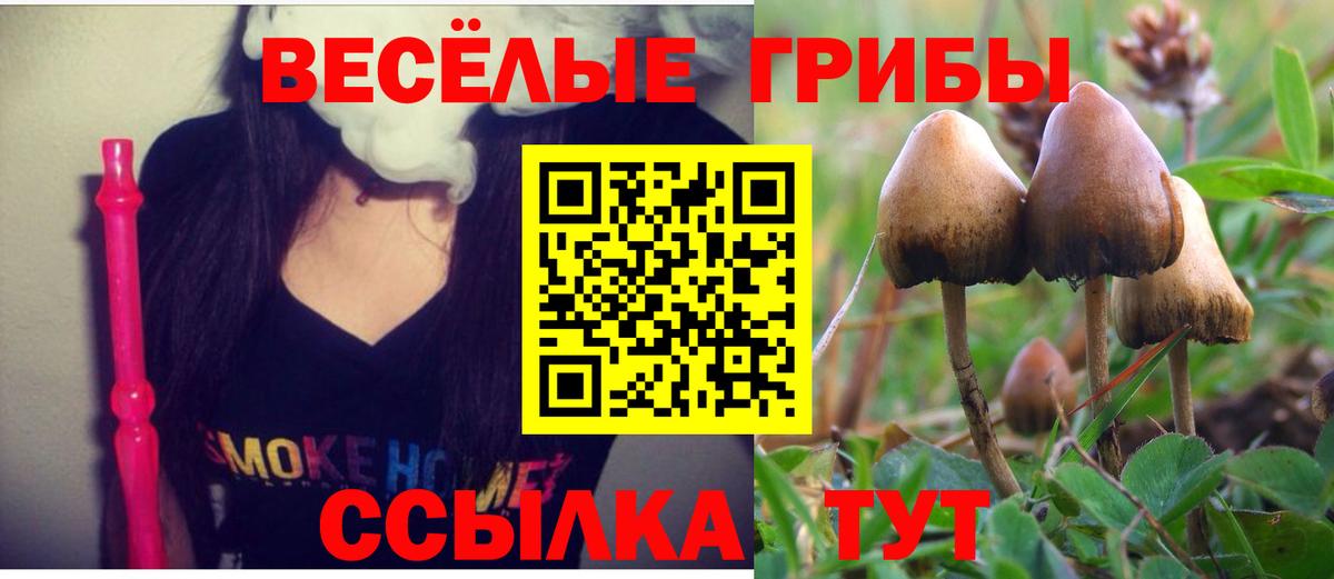 Псилоцибиновые грибы Psilocybe  Вход с VPN  Донецк 